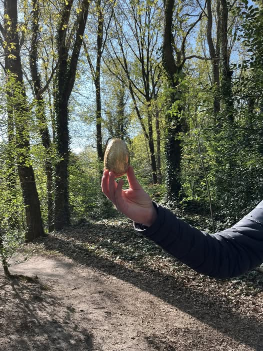 Vind jij het gouden ei?